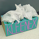 biggest kleenex